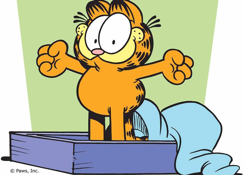 O gato Garfield