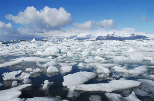 Relatório mostra que níveis de carbono absorvidos hoje pelos oceanos superam os níveis da última extinção global significativa de espécies marinhas.