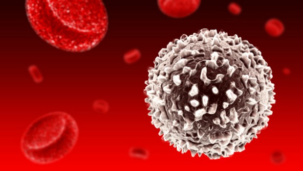 Projeto busca cortar pela metade custo de tratamento para câncer no sangue