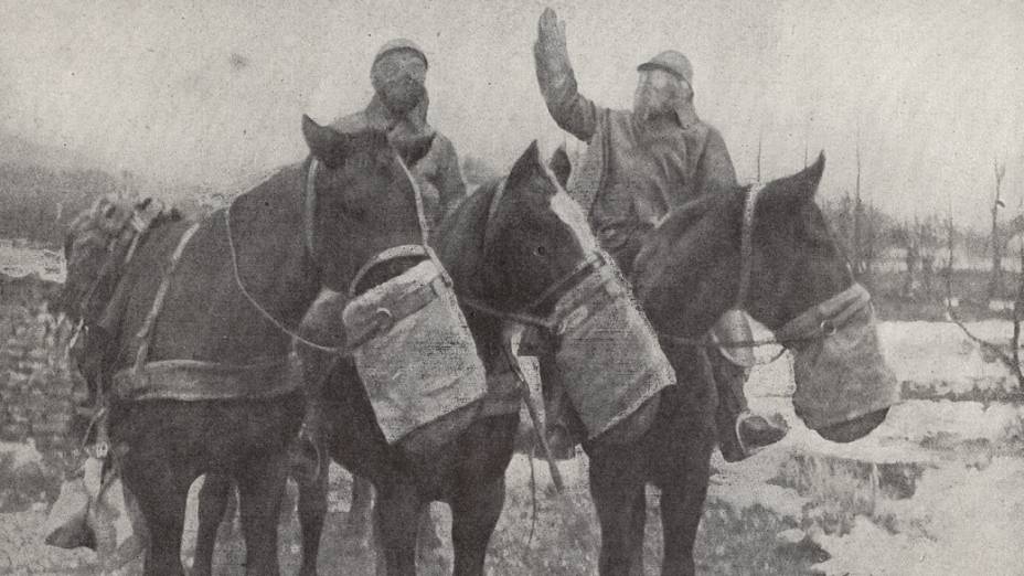 Máscaras de gás para cavalos