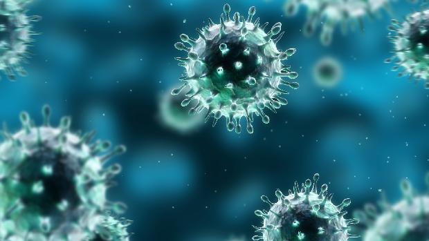 Gripe aviária causa primeira morte em humanos nos EUA; entenda os riscos