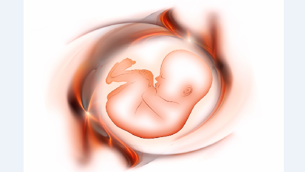 Poluentes onipresentes afetam fertilidade e chegam até a órgãos do bebê