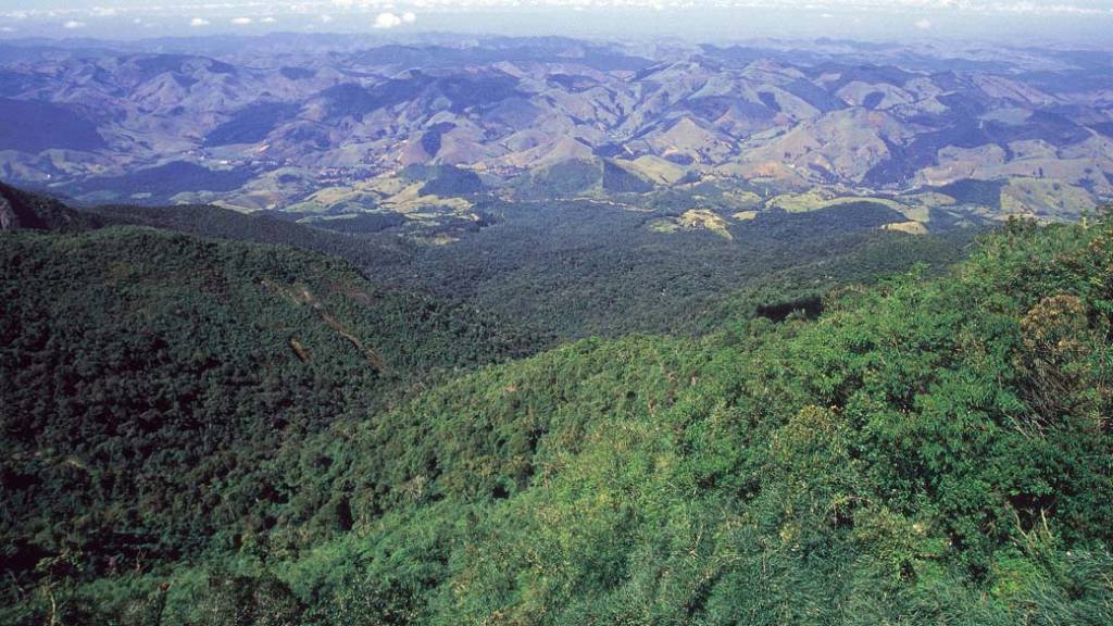 O exemplo de restauração no Brasil reconhecido pela ONU