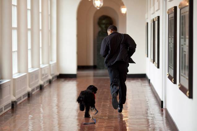 Presidente Obama brinca com cachorrinho Bo, logo antes de ser adotado pela família - 15/03/2009 Presidente Obama brinca com cachorrinho Bo, logo antes de ser adotado pela família - 15/03/2009