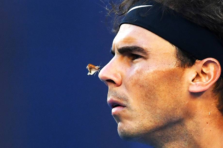 Uma mariposa é fotografada no nariz do espanhol Rafael Nadal em partida de quarta de final do Aberto da Austrália, em Melbourne - 25/01/2017