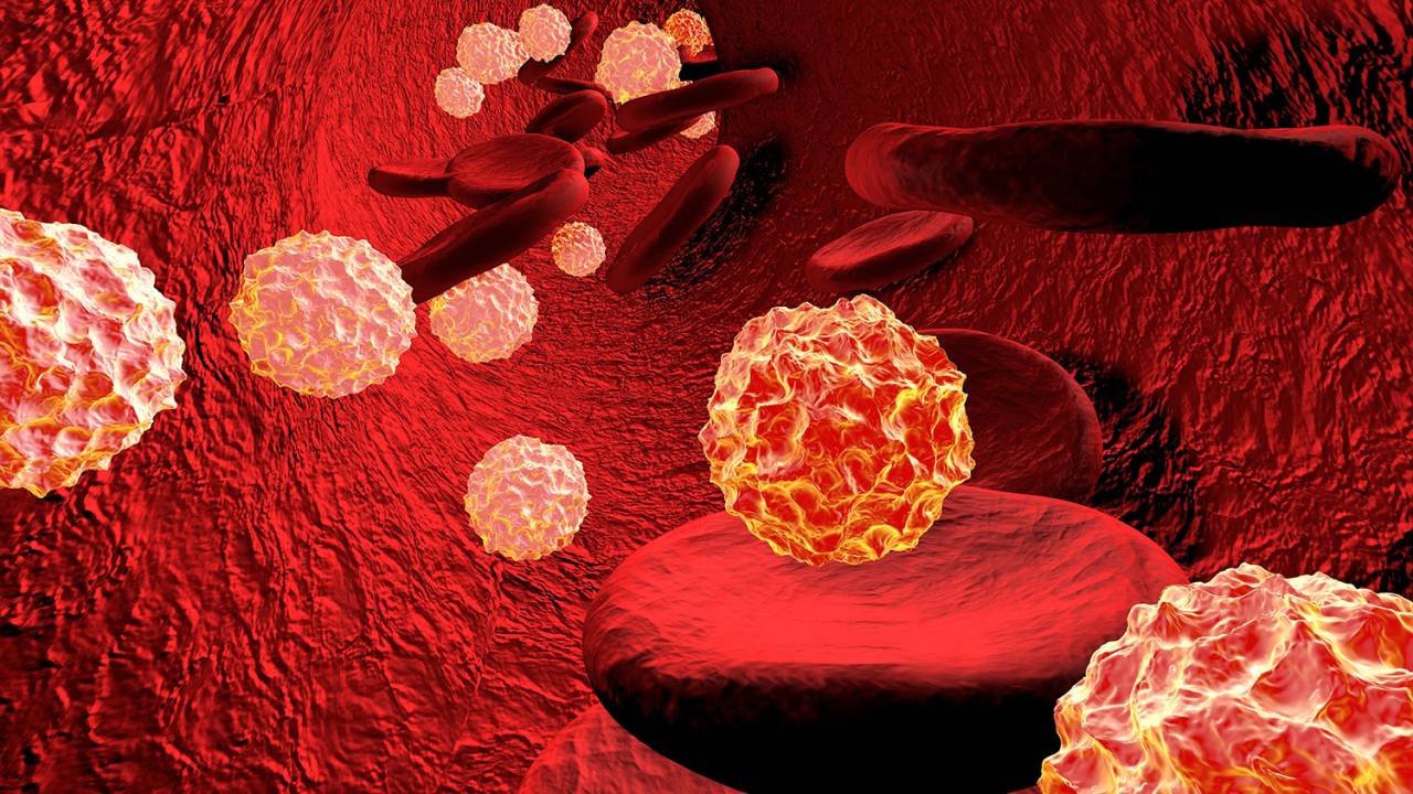 Vírus no sangue durante infecção generalizada