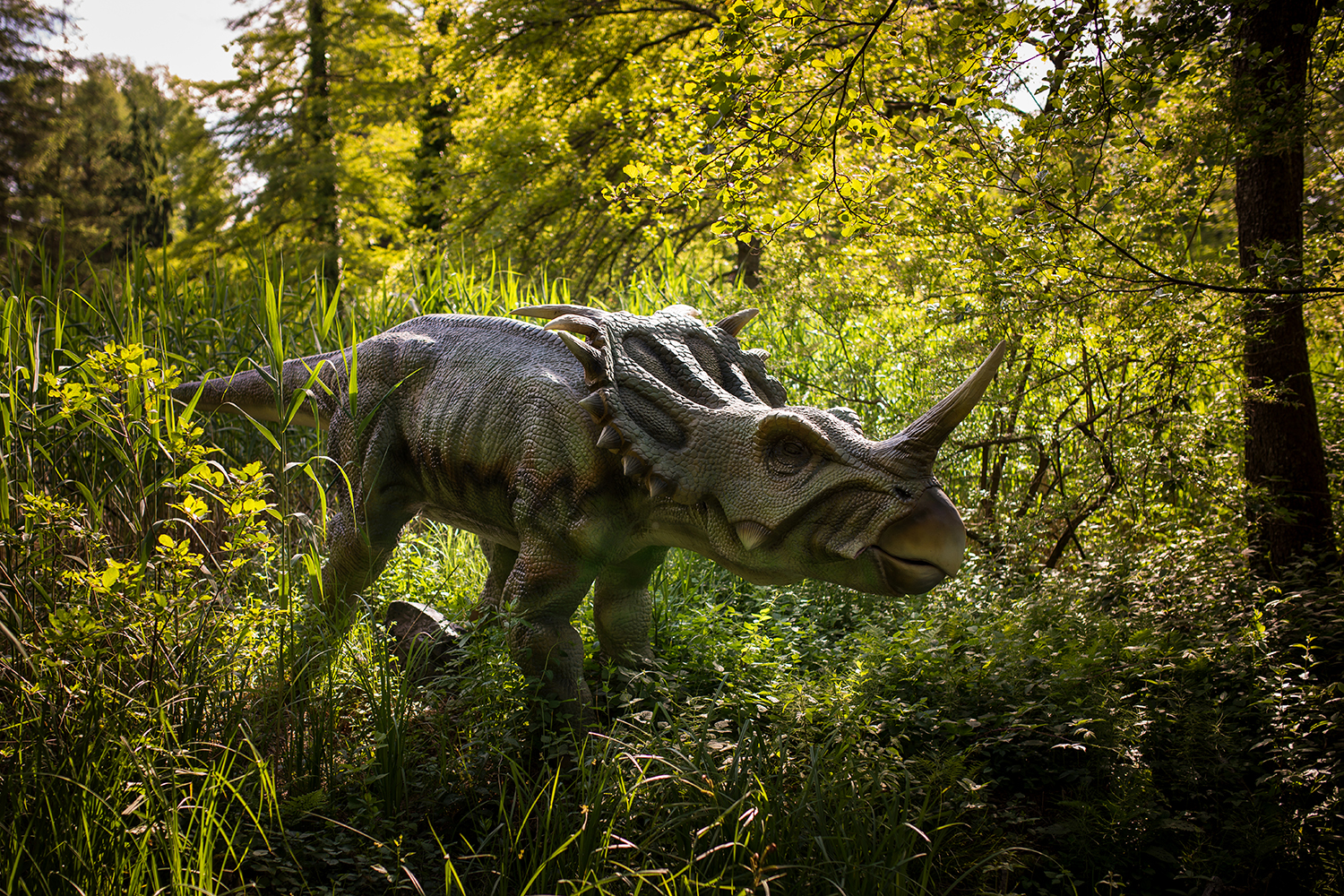 Como a extinção dos dinossauros redesenhou a paisagem da Terra