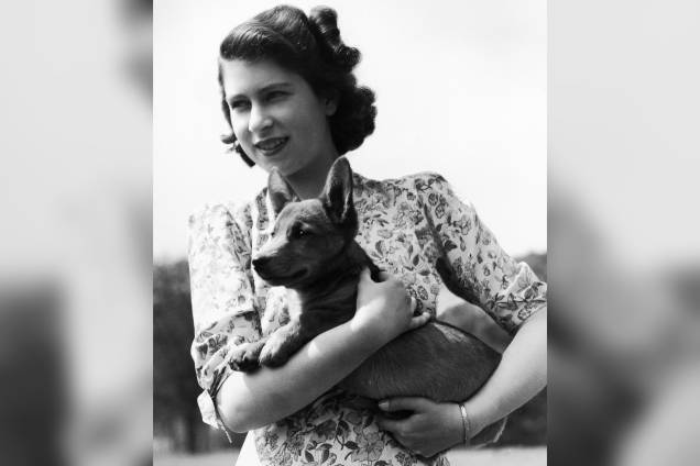 Princesa Elizabeth que segura Sue, um filhote de corgi, no castelo de Windsor em 1944 Princesa Elizabeth que segura Sue, um filhote de corgi, no castelo de Windsor em 1944