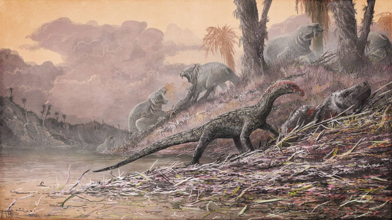 Teleocrater rhadinus