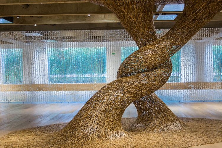 Bambu é a estrela da abertura da Japan House