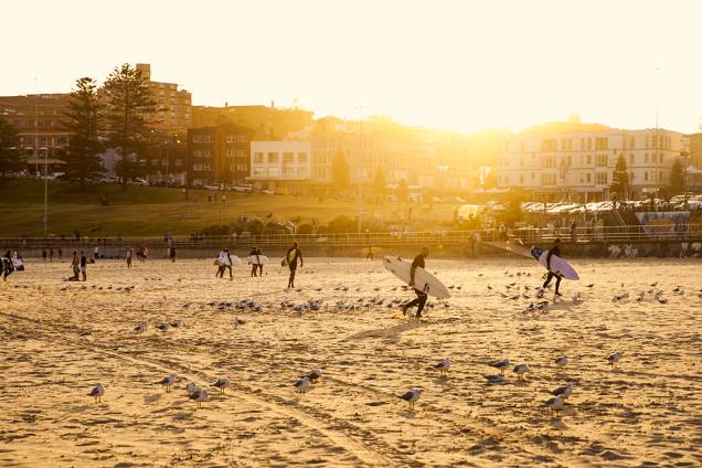 <p style="text-align:justify;"><span style="font-weight:400;">Assista ao nascer do sol, faça aula de bodysurfing e desfrute de um café da manhã</span></p> <p style="text-align:justify;"><span style="font-weight:400;">Assista ao nascer do sol, faça aula de bodysurfing e desfrute de um café da manhã</span></p>