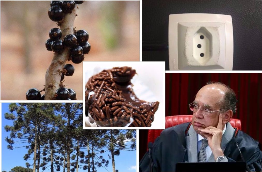Jabuticaba, tomada de três pinos, brigadeiro, araucária e Gilmar Mendes, do TSE