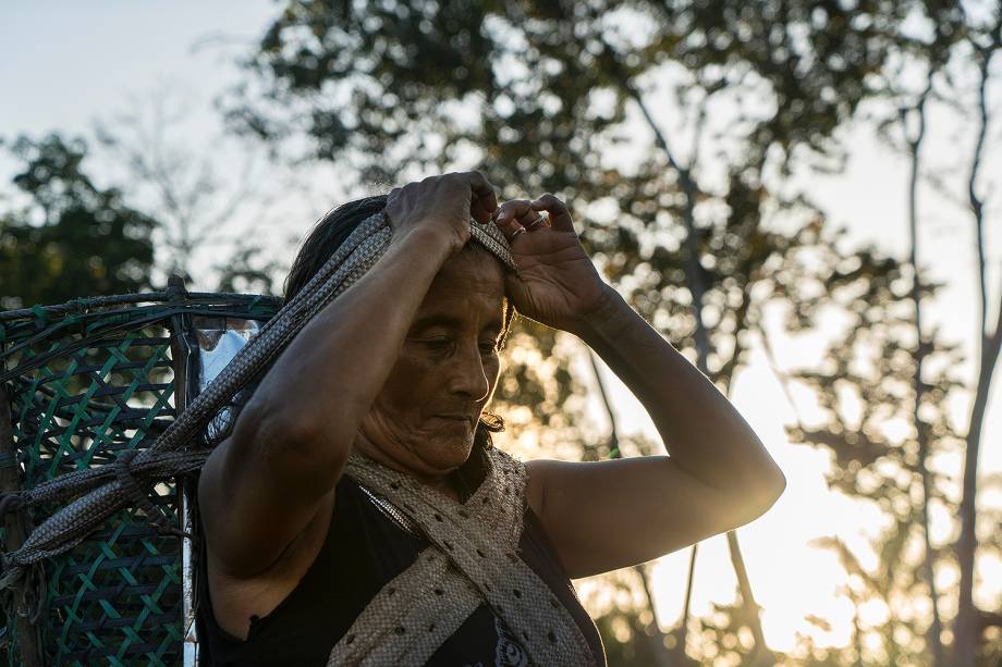 A castanheira Teresinha de Jesus Rodrigues, de 58 anos, já trabalhou em seringais da região da reserva do Rio Iratapuru e hoje se dedica à colheita de castanhas. Membros da Cooperativa Mista dos Produtores Extrativistas do Rio Iratapuru passam os quatro meses (abril a julho) na mata coletando a matéria-prima