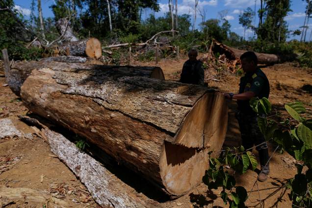 Agentes do Ibama desmontam um acampamento ilegal, durante 'Operação Onda Verde' contra desmatamento em Apuí, no Amazonas Agentes do Ibama desmontam um acampamento ilegal, durante 'Operação Onda Verde' contra desmatamento em Apuí, no Amazonas