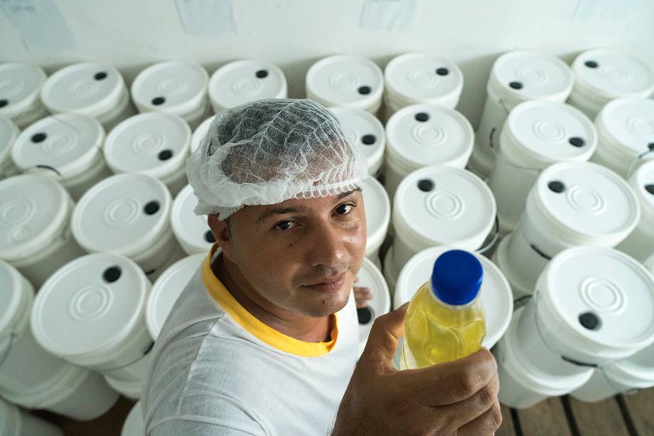 Aldemir Pereira da Cunha, 30 anos, está no seu segundo mandato como presidente da Cooperativa Mista dos Produtores Extrativistas do Rio Iratapuru, que gerencia a produção na fábrica de óleo de castanhas. Desde 2004, cerca de 5 toneladas de óleo mensais são vendidas integralmente à Natura ao custo de 137 reais por quilo. A empresa leva a matéria-prima a uma fábrica em Belém (PA)