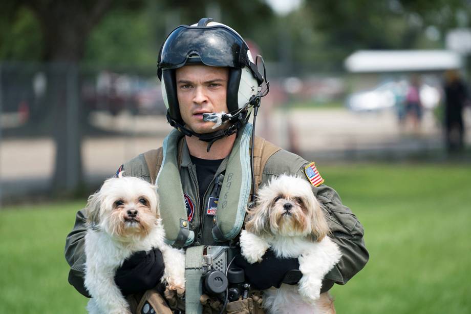 Cachorros são resgatados por membro da força aérea dos Estados Unidos, após furacão Harvey alagar cidades no Texas