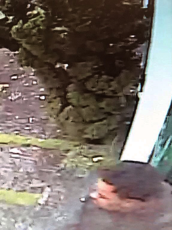 Sassá, líder da quadrilha que assaltava casas no Morumbi, durante roubo a casa do desembargador Antonio Manssur, em 20/8, também na região do Morumbi Sassá, líder da quadrilha que assaltava casas no Morumbi, durante roubo a casa do desembargador Antonio Manssur, em 20/8, também na região do Morumbi
