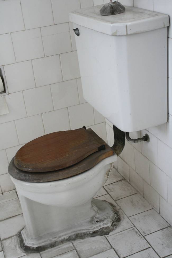 toilet-582538_1920