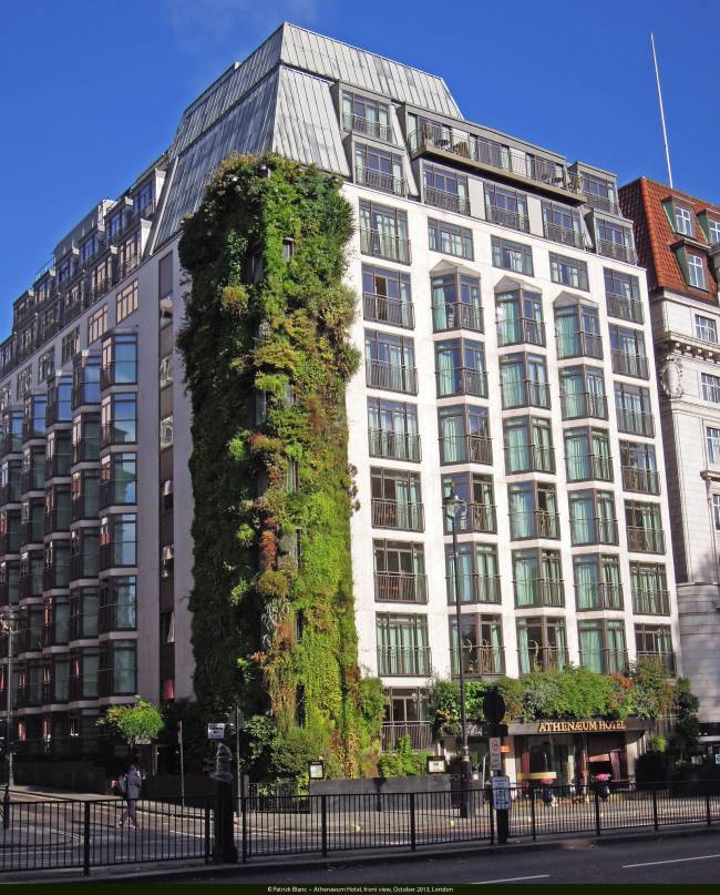 athenaeum-hotel-front-view-october-2013-london