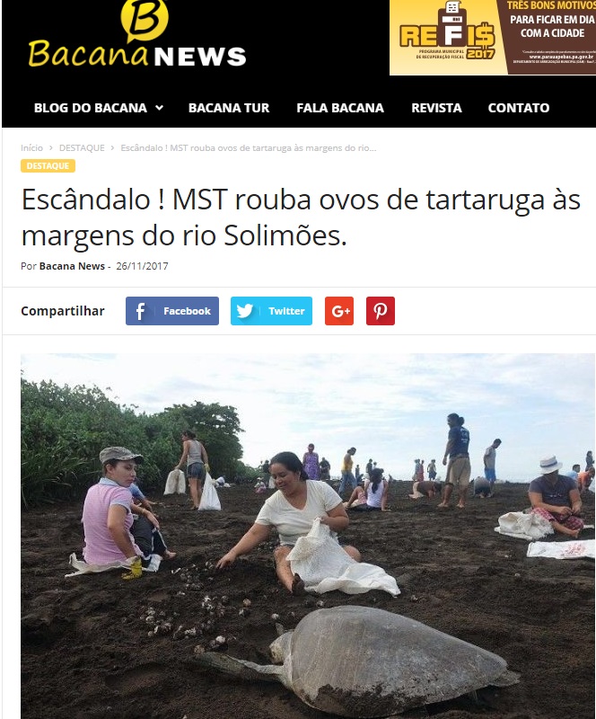 fake news mst