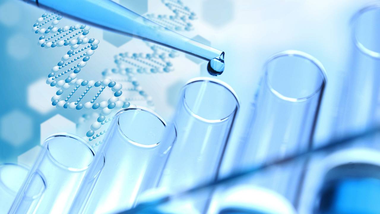 Istock - Experiências no laboratório