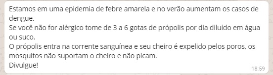 fake news febre amarela