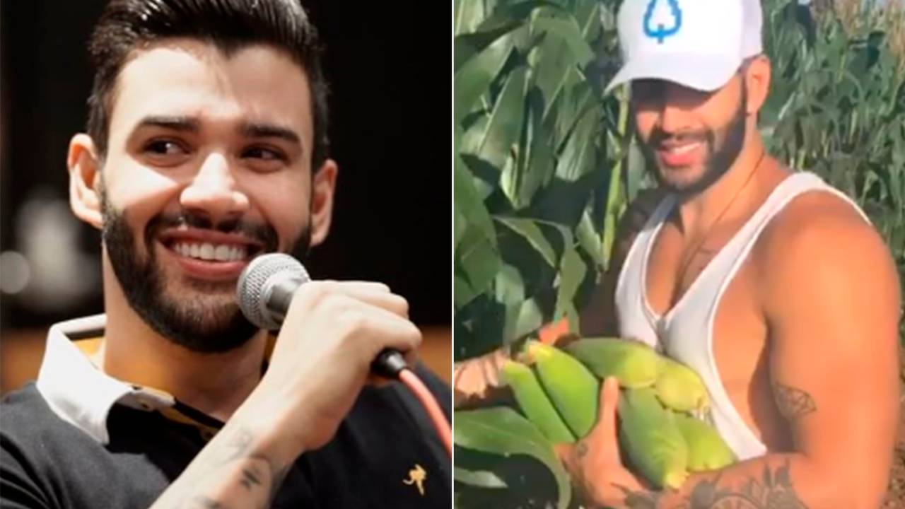 Gusttavo Lima para carrro em estrada para roubar milho