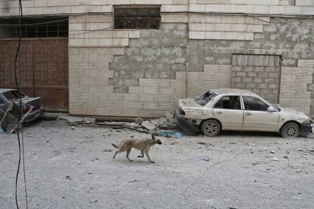 Cão corre em meio aos escombros após um poderoso ataque aéreo das forças do governo da Síria na cidade rebelde de Hamouria, na região sitiada de Ghouta Oriental, nos arredores da capital, Damasco - 21/02/2018 Cão corre em meio aos escombros após um poderoso ataque aéreo das forças do governo da Síria na cidade rebelde de Hamouria, na região sitiada de Ghouta Oriental, nos arredores da capital, Damasco - 21/02/2018