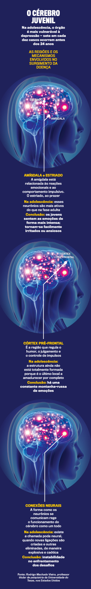 arte-cerebro arte-cerebro