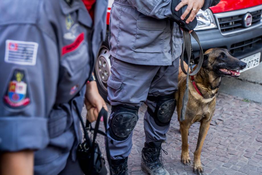 Cães farejadores auxiliam no trabalho das equipes de resgate no local do desabamento do edificio Wilton Paes de Almeida, no Largo do Paissandu, região central de São Paulo - 09/05/2018