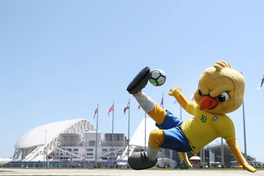 Canarinho pistola faz jogada durante visita à Sochi - 14/06/2018