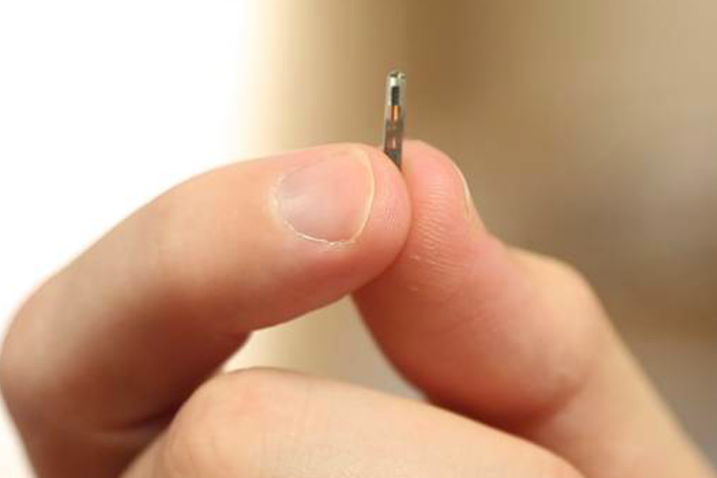 Tecnologia sob a pele: como se tornar um biohacker