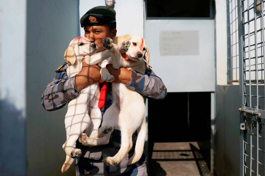 Policial beija filhotes de cães durante o Tihar - festival que homenageia a lealdade dos caninos, em Kathmandu, capital do Nepal. Esta celebração faz parte dos preparativos para o Diwali - festa religiosa hindu, conhecida também como o festival das luzes - 06/11/2018