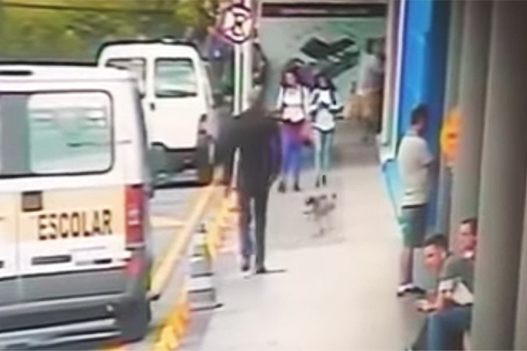 Segurança do Carrefour suspeito de matar cachorro presta depoimento