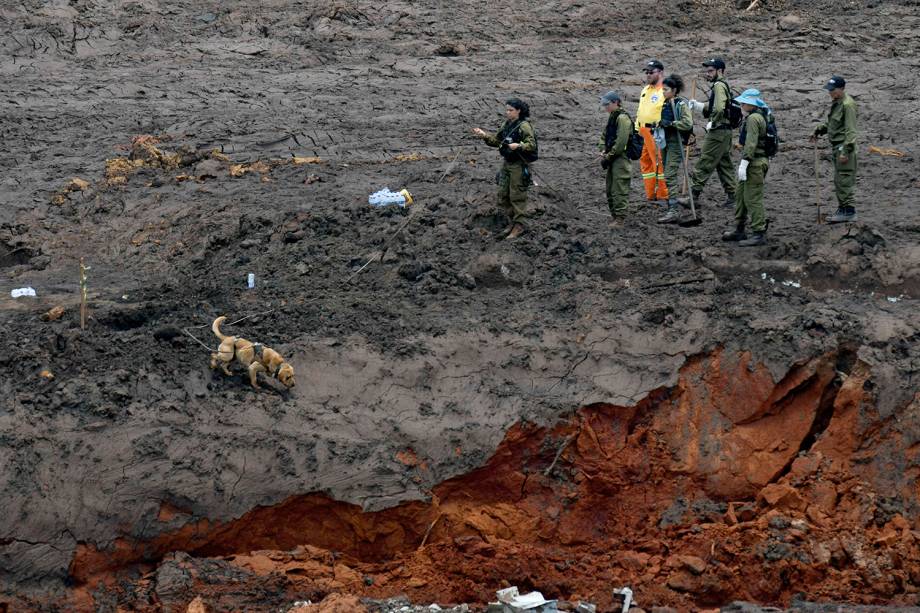 Soldados israelenses procuram por vítimas do rompimento de barragem em Brumadinho, Minas Gerais - 30/01/2019