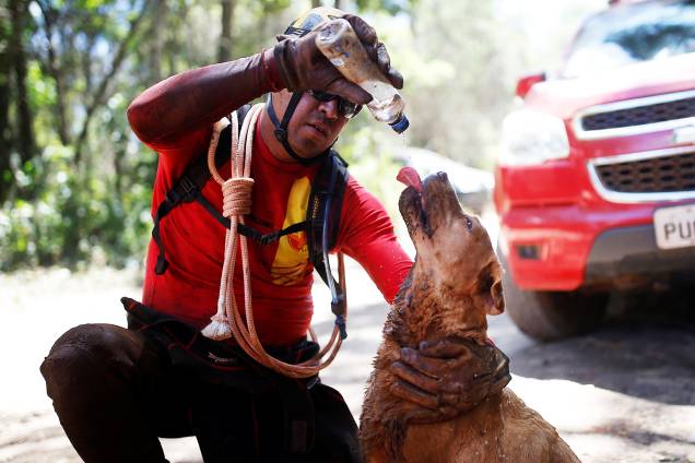 Bombeiro hidrata cão farejador após operação de resgate de vítimas do rompimento de barragem em Brumadinho (MG) - 30/01/2019 Bombeiro hidrata cão farejador após operação de resgate de vítimas do rompimento de barragem em Brumadinho (MG) - 30/01/2019