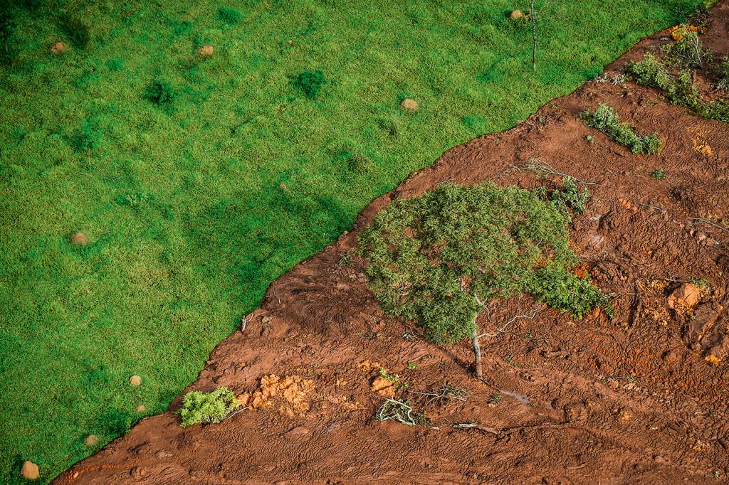 Rompimento de barragem em Brumadinho (MG) Vale