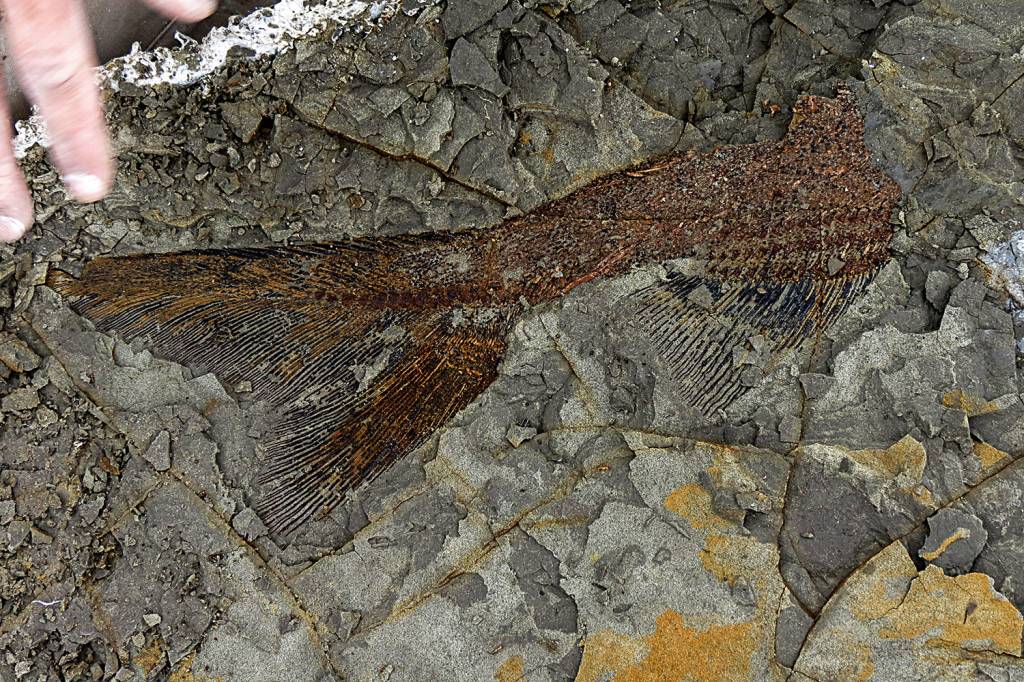 Arqueologia Arqueologia