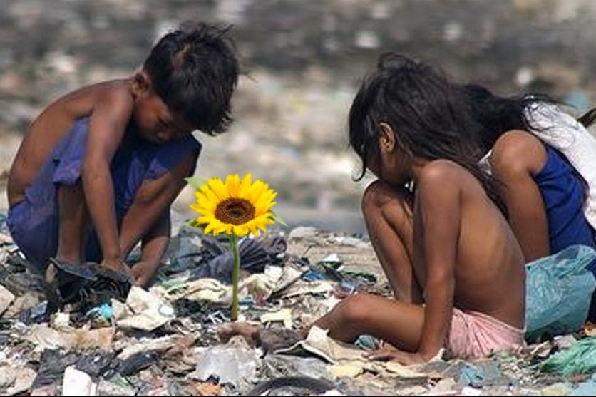 ‘Ilha das Flores’ é eleito o melhor curta brasileiro de todos os tempos