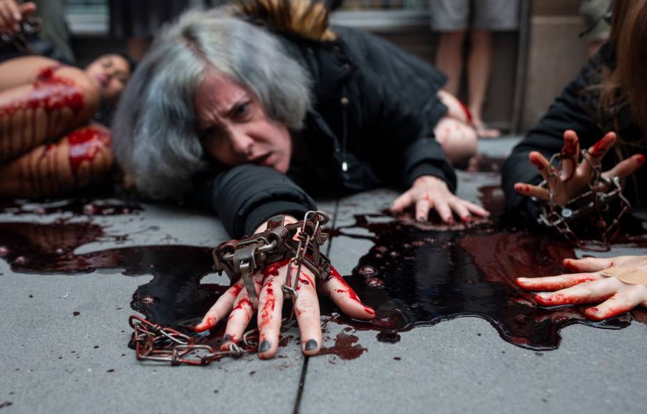 Membros da PETA (Pessoas pelo Tratamento Ético dos Animais) protestam contra o uso de pele de coiote pela empresa canadense Canada Goose, em frente à loja em Nova York. Membros da PETA (Pessoas pelo Tratamento Ético dos Animais) protestam contra o uso de pele de coiote pela empresa canadense Canada Goose, em frente à loja em Nova York.