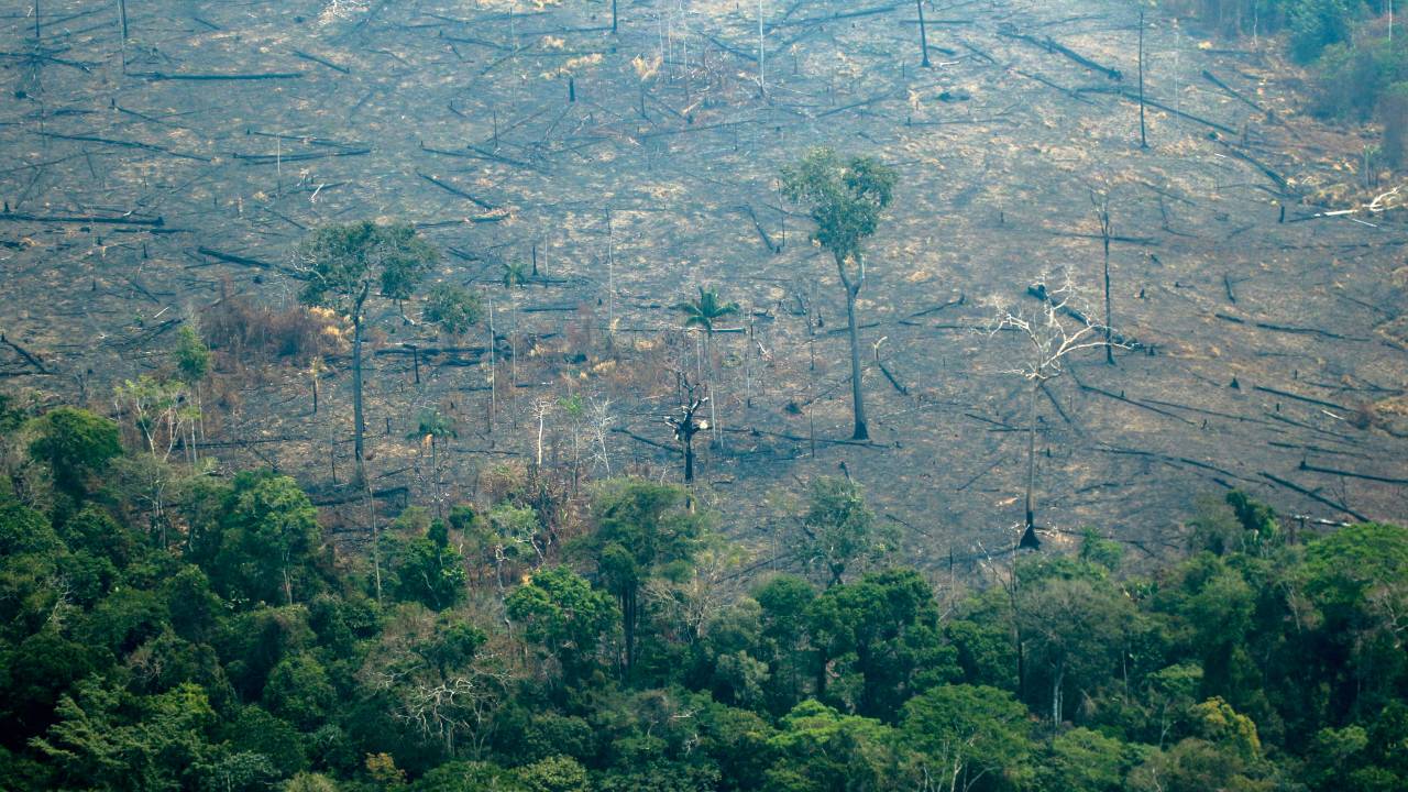 Vista aérea de áreas queimadas da Floresta Amazônica no município de Boca do Acre (AM) - 24/08/2019