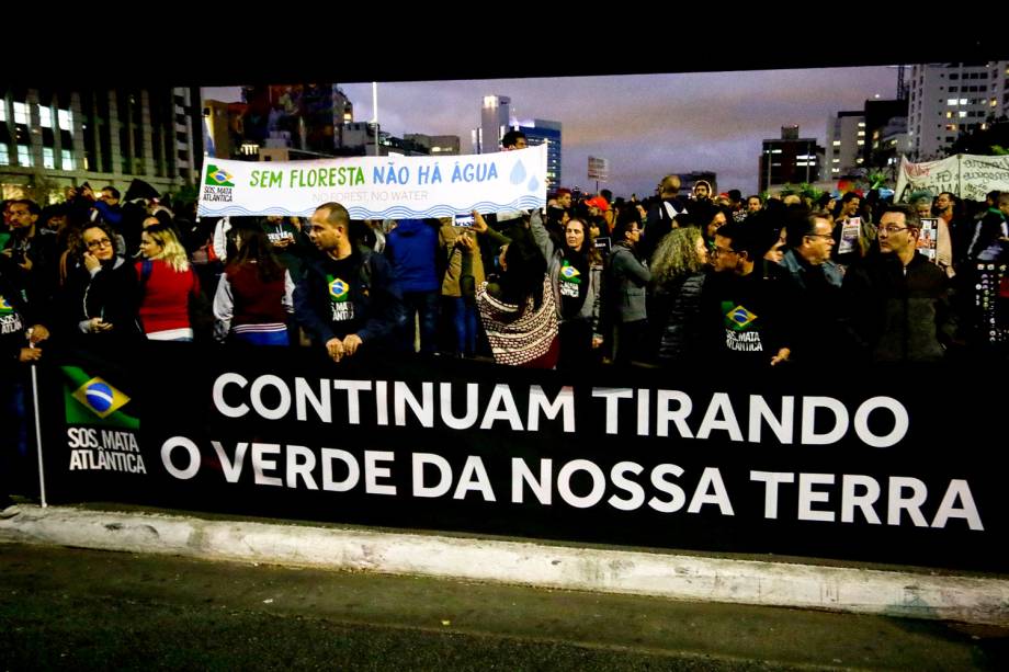 Manifestantes protestam em defesa da Amazônia na Avenida Paulista, em São Paulo - 23/8/2019