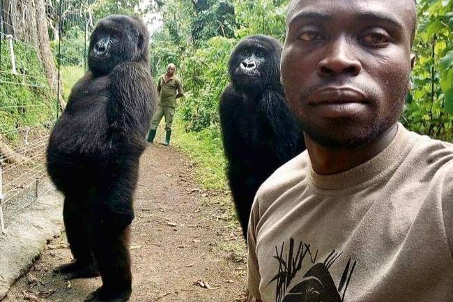 SELFIE-MACACO-2019-1.jpg