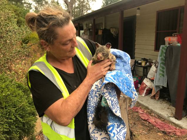 Voluntários resgatam um gambá dos incêndios florestais que ocorrem na Austrália 29/12/2019 Voluntários resgatam um gambá dos incêndios florestais que ocorrem na Austrália 29/12/2019