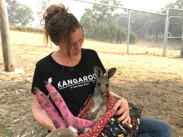 Voluntários resgatam e tratam das queimaduras em cangurus atingidos pelos incêndios florestais que assolam a Austrália - 30/12/2019 Voluntários resgatam e tratam das queimaduras em cangurus atingidos pelos incêndios florestais que assolam a Austrália - 30/12/2019