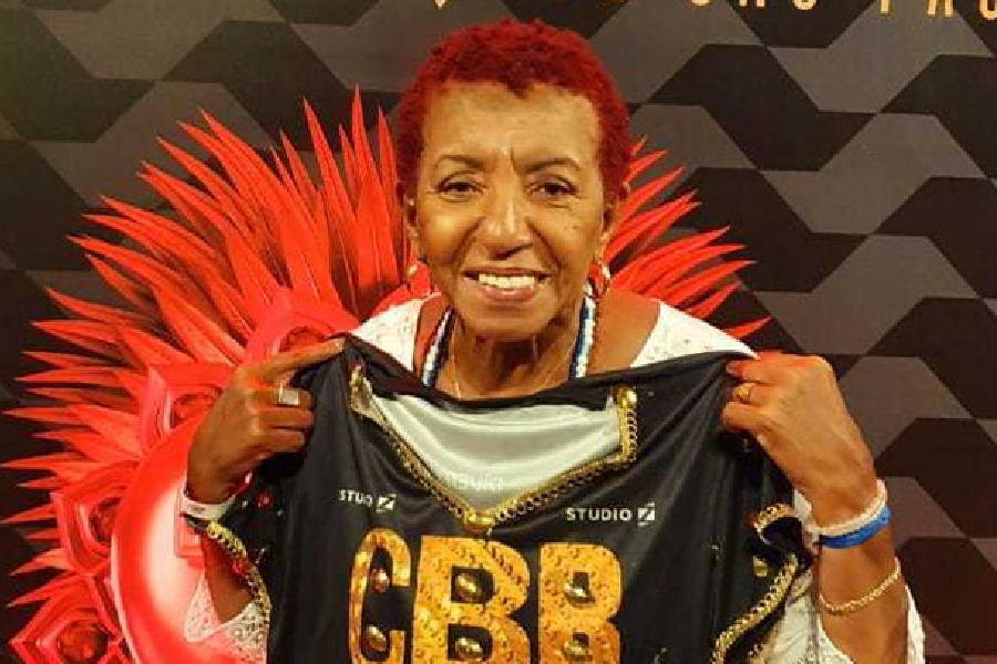 Leci Brandão carnaval SP