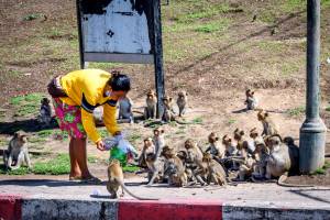 Tailândia Turismo Macacos Coronavírus