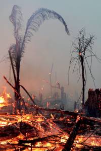 A fire burns a tract of Amazon jungle as it is cleared by a farmer in Machadinho do Oeste, Rondonia state