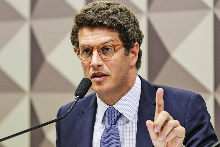 O ex-ministro do Meio Ambiente e deputado federal Ricardo Salles (PL-SP)