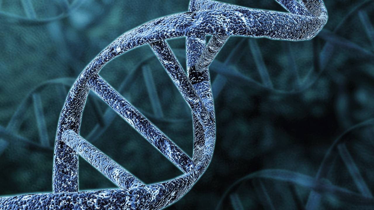A DUPLA HÉLICE DE DNA - Pares genéticos: eles definem quem a pessoa é fisicamente e até psicologicamente -